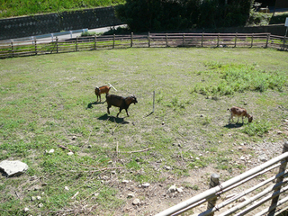 P1150779 のコピー.jpg