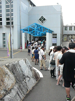 P1310649.jpg