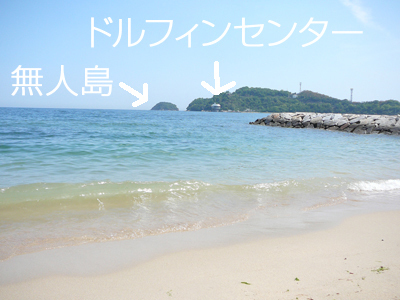 P1350420E381AEE382B3E38394E383BC-thumbnail2.jpg