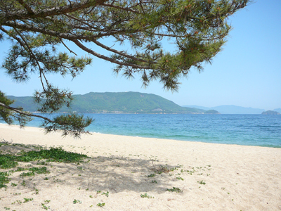 P1350423-thumbnail2.jpg