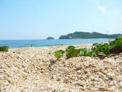 P1350431-thumbnail2-3c35f-thumbnail2.jpg