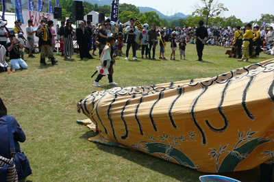 P1360204-thumbnail2-thumbnail2.jpg