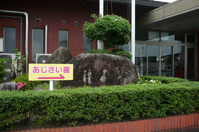 P1360432.jpg