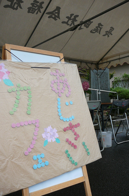P1360433.jpg