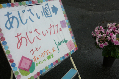 P1360434.jpg