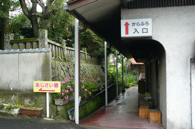 P1360435.jpg
