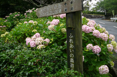 P1360438.jpg