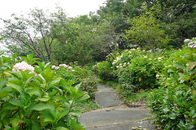 P1360453.jpg