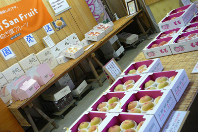 P1360709.jpg
