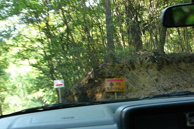 P1370541.jpg