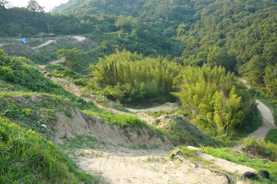 P1370554.jpg