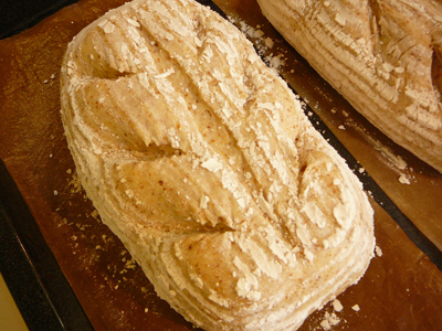 P1420220-thumbnail2.jpg