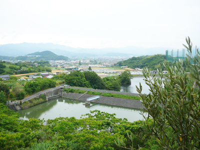 P1420252.jpg