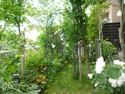 P1420254.jpg