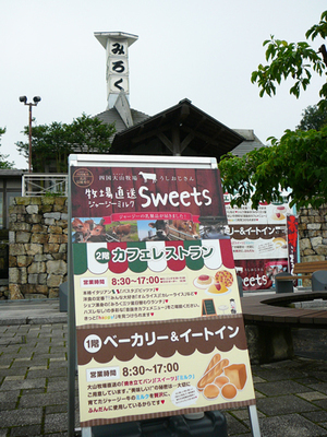 P1430170-thumbnail2.jpg