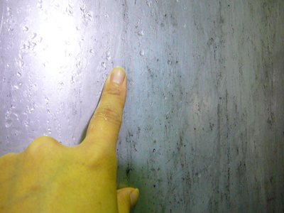 P1440344.jpg