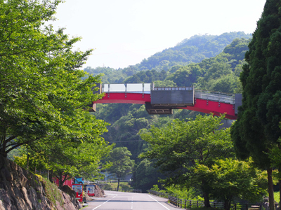 P5226651.jpg