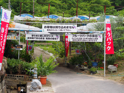 P7120332.jpg