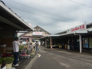 RIMG0265.JPG
