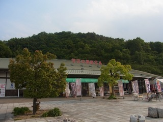 RIMG2432.JPG