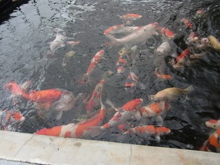 RIMG2842.JPG