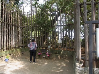 RIMG2984.JPG