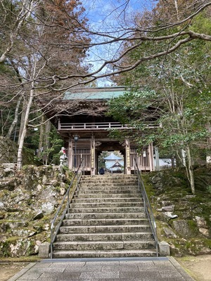 S__83247106_0.jpg
