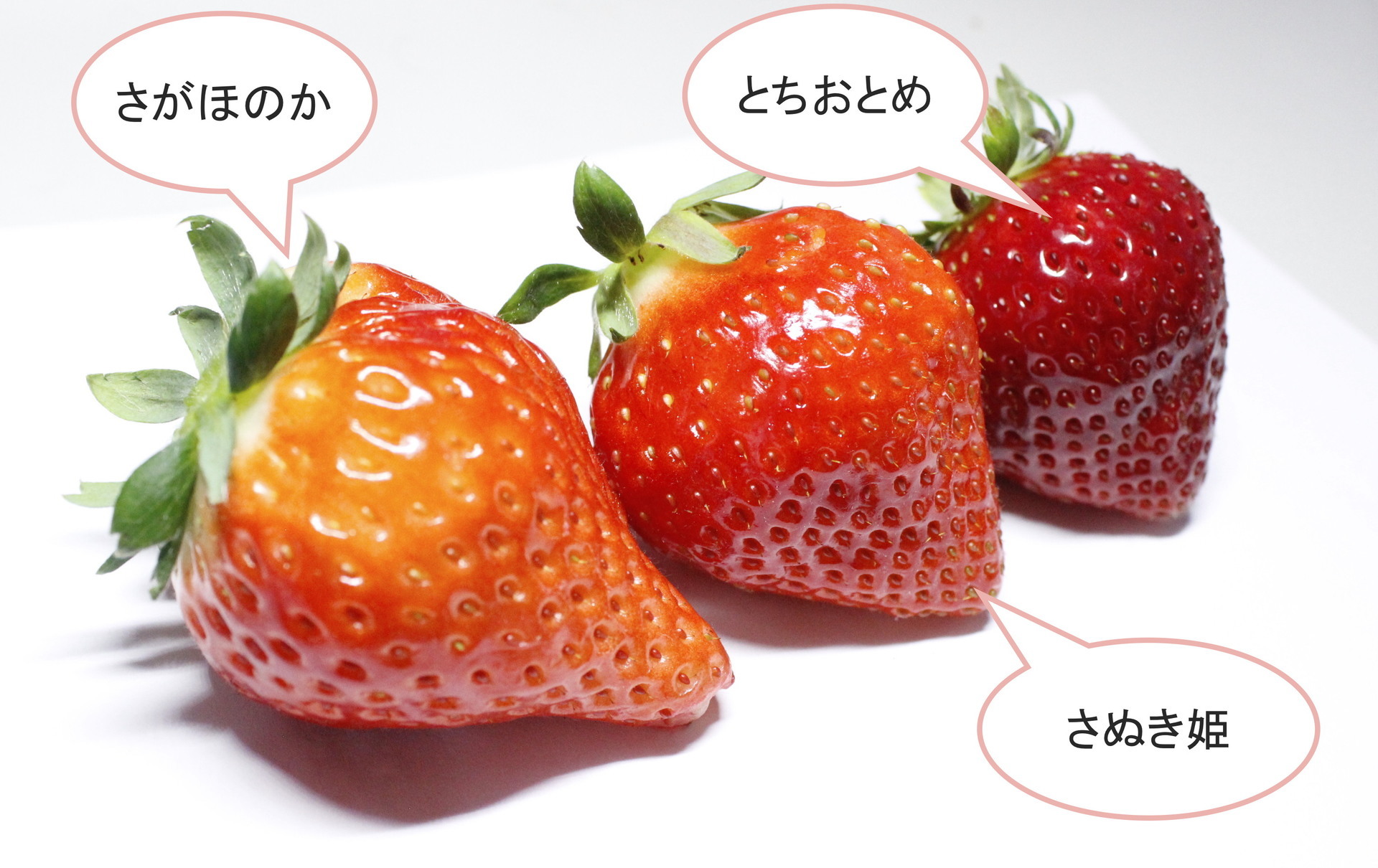 リピーター続出 ! こだわりの苺を育てる江崎いちご農園さんにお