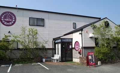 milele03.jpg